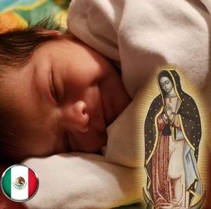 Meet your Posher, Amparo